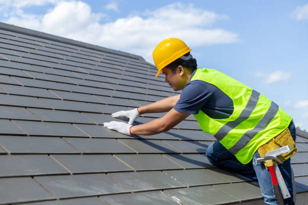 Best Gutter Installation and Roofing  in Nellieburg, MS