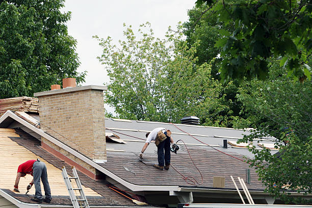 Best Local Roofing Companies  in Nellieburg, MS