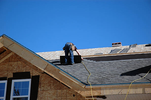 Best Roof Waterproofing Services  in Nellieburg, MS