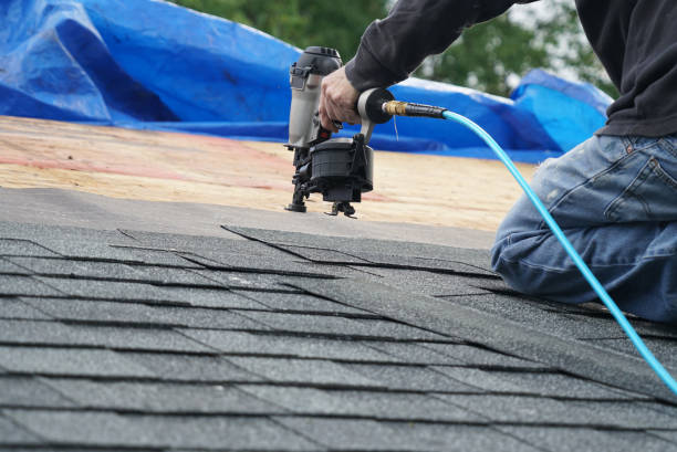Best New Roof Installation  in Nellieburg, MS