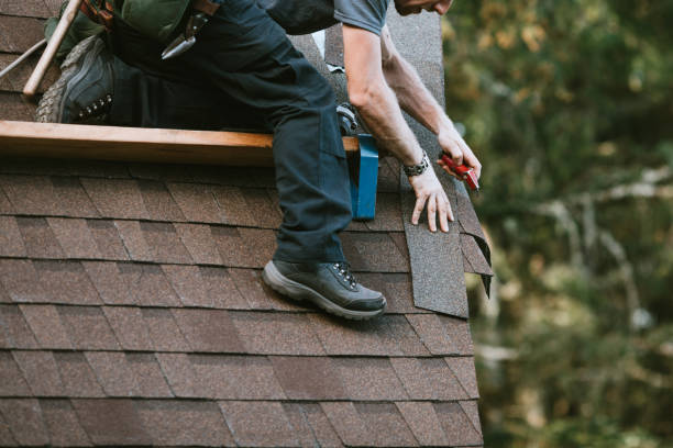 Best Shingle Roofing Installation  in Nellieburg, MS