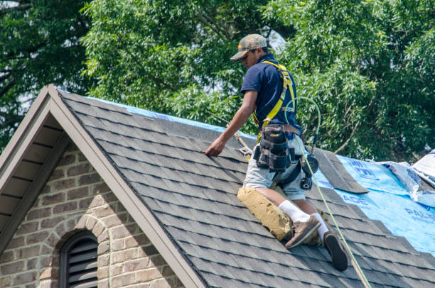 Professional Roofing Contractor in Nellieburg, MS